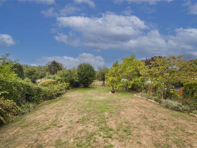 Picture 31